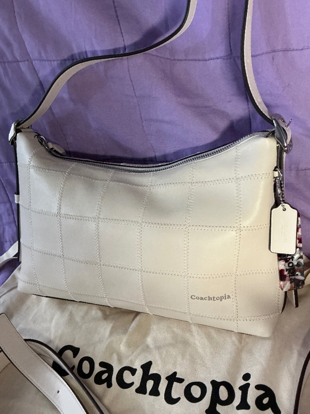 Coachtopia Alter Ego Slouchy Shoulder Bag